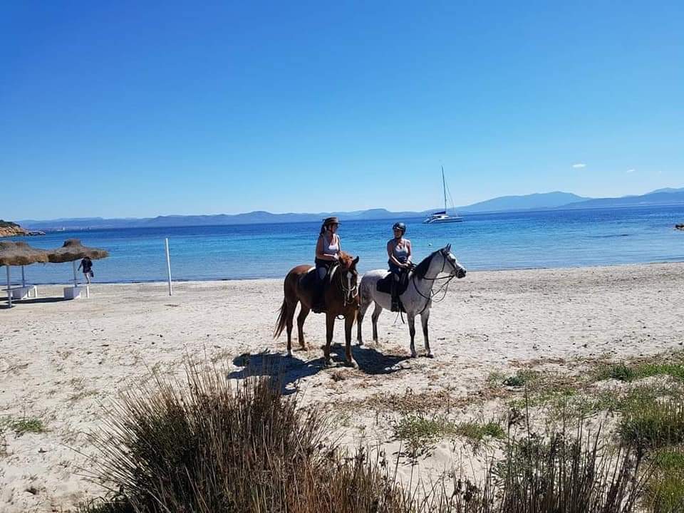 6-daagse paardrijtocht (8 dagen vakantie) 