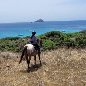 6-daagse paardrijtocht (8 dagen vakantie) 'Two Islands' Sardinie - Italie - Afbeelding 13