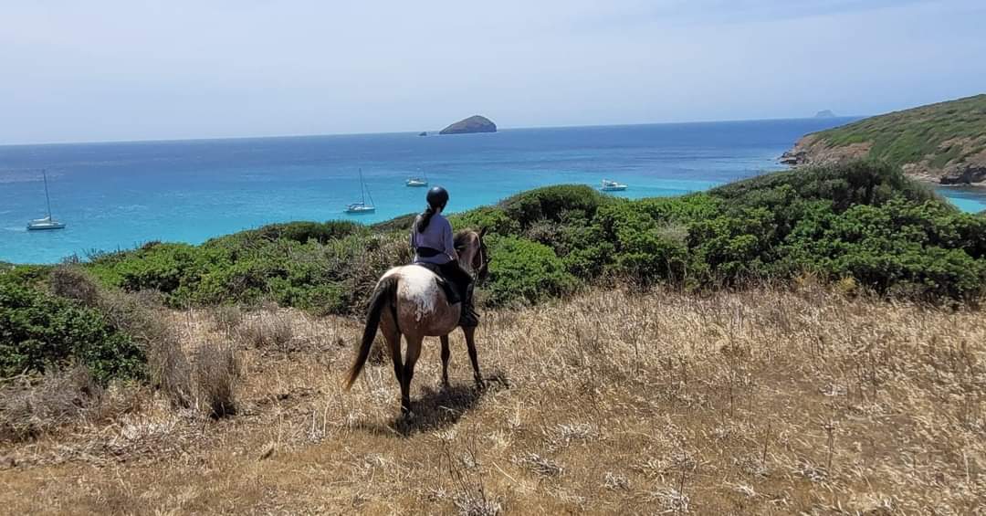 6-daagse paardrijtocht (8 dagen vakantie) 