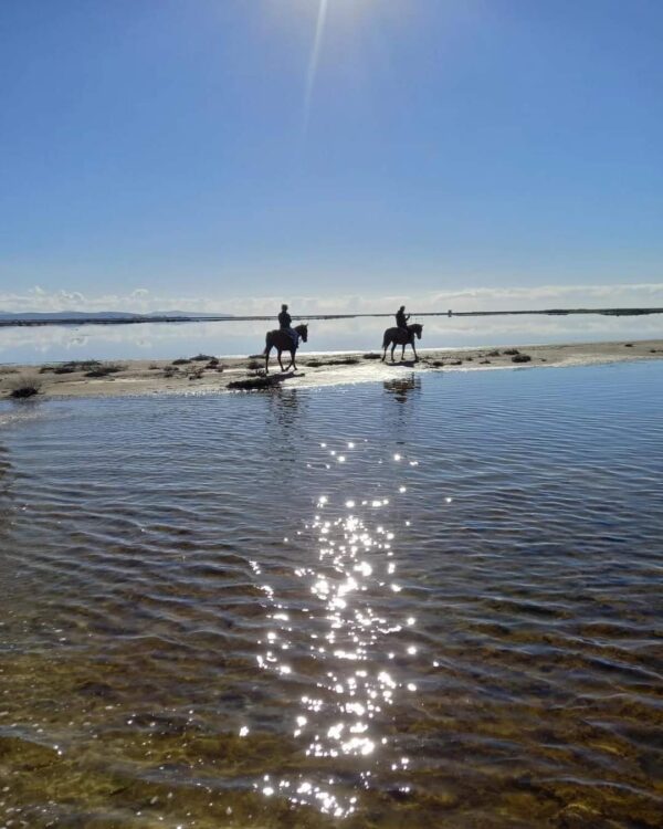 6-daagse paardrijtocht (8 dagen vakantie) 'Two Islands' Sardinie - Italie
