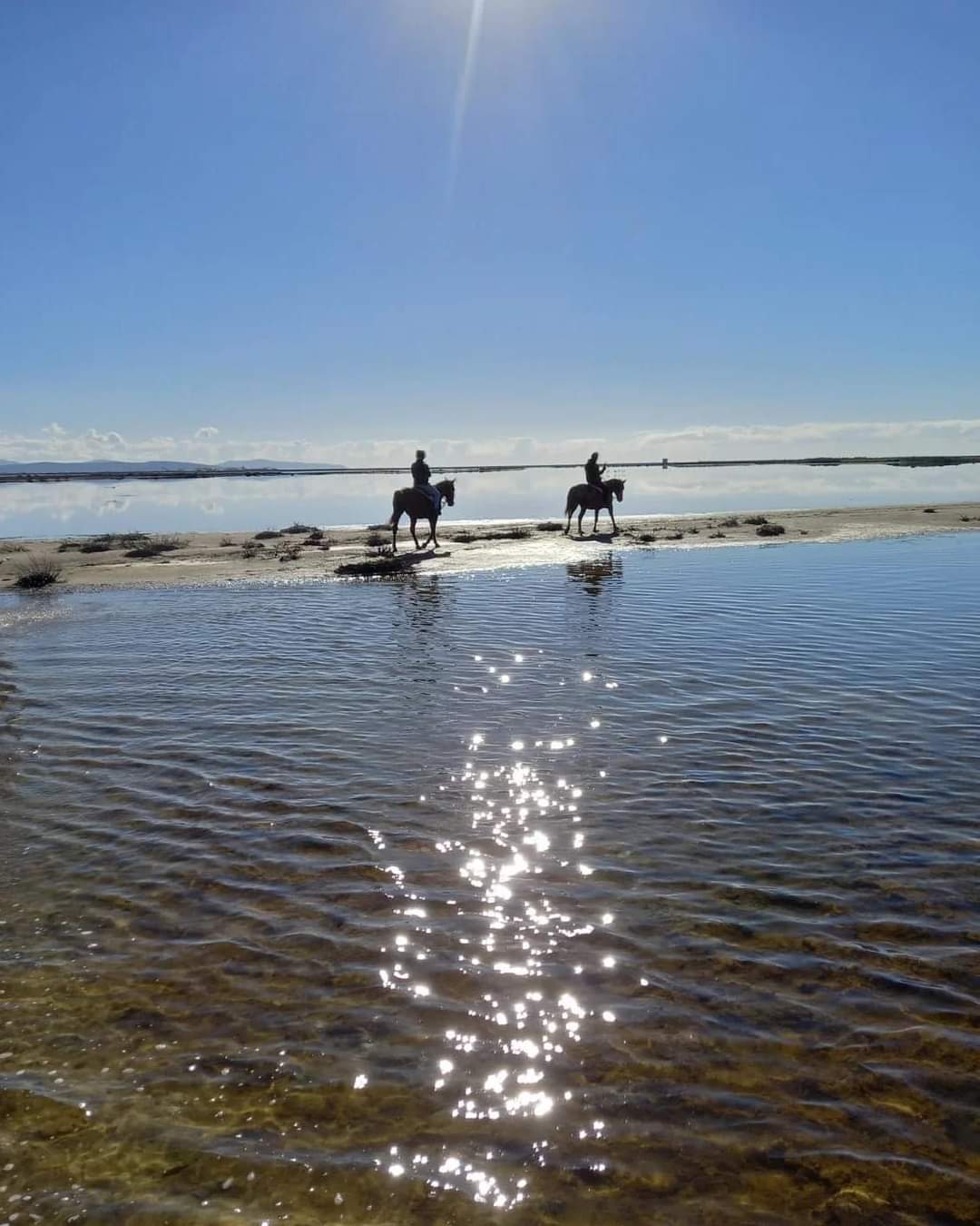 6-daagse paardrijtocht (8 dagen vakantie) 
