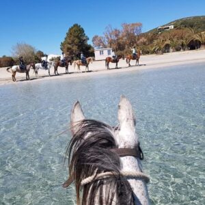 5- daagse paardrijtocht (7 dagen vakantie) 'Two Islands' Sardinie - Italie - Afbeelding 1