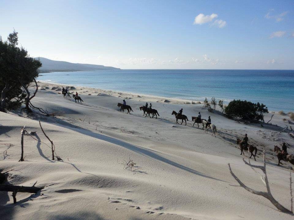 6-daagse paardrijtocht (8 dagen vakantie) 