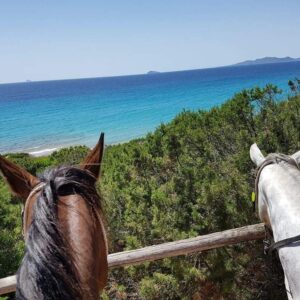 6-daagse paardrijtocht (8 dagen vakantie) 'Two Islands' Sardinie - Italie - Afbeelding 16