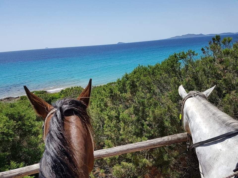 6-daagse paardrijtocht (8 dagen vakantie) 