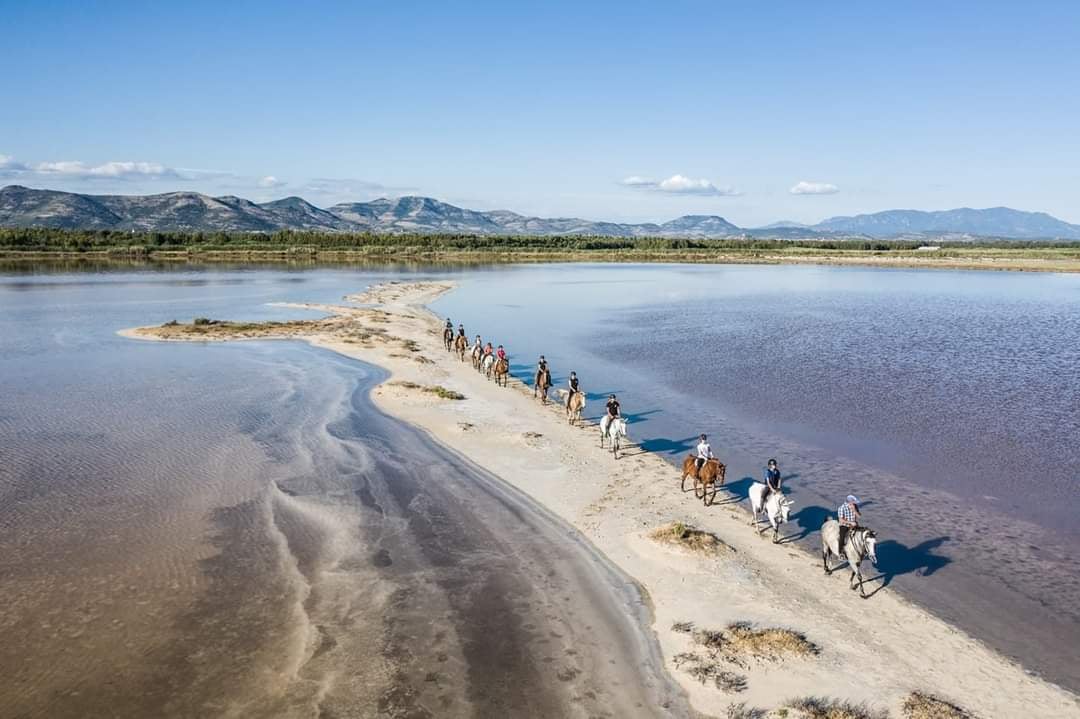 6-daagse paardrijtocht (8 dagen vakantie) 