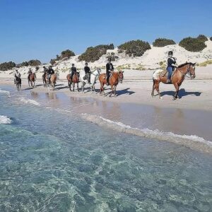 6-daagse paardrijtocht (8 dagen vakantie) 'Two Islands' Sardinie - Italie - Afbeelding 18