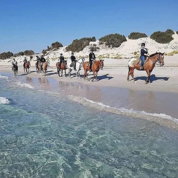 6-daagse paardrijtocht (8 dagen vakantie) 'Two Islands' Sardinie - Italie