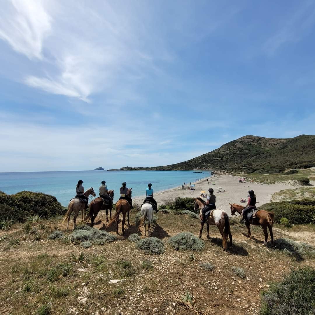 6-daagse paardrijtocht (8 dagen vakantie) 
