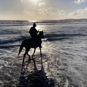 6-daagse paardrijtocht (8 dagen vakantie) 'Two Islands' Sardinie - Italie - Afbeelding 22