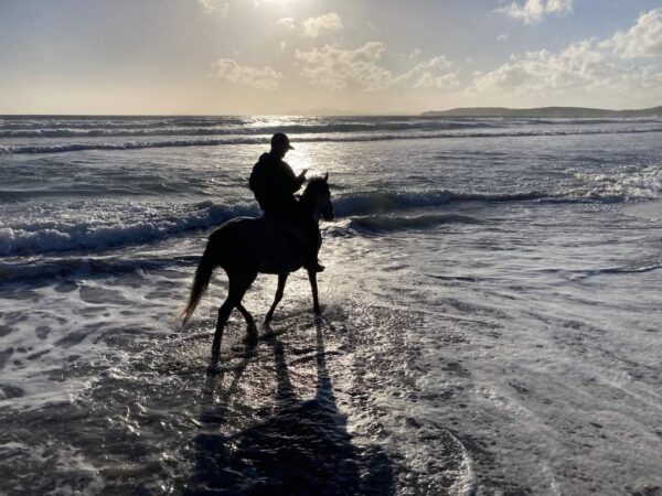 6-daagse paardrijtocht (8 dagen vakantie) 'Two Islands' Sardinie - Italie