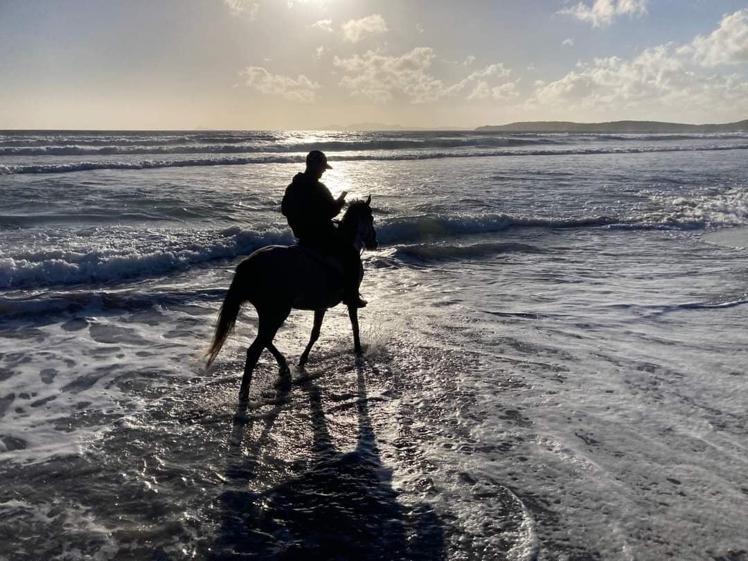 6-daagse paardrijtocht (8 dagen vakantie) 