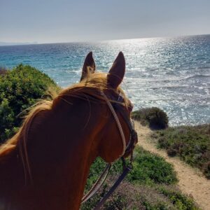 6-daagse paardrijtocht (8 dagen vakantie) 'Two Islands' Sardinie - Italie - Afbeelding 23