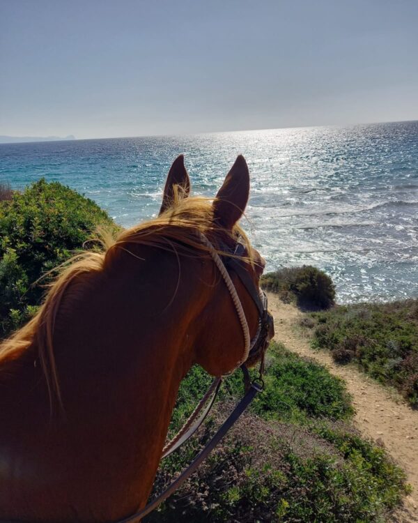 6-daagse paardrijtocht (8 dagen vakantie) 'Two Islands' Sardinie - Italie