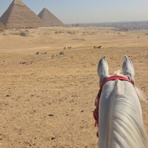 5-daagse Paardrijtocht Caïro – Bahariya – Zwarte & Witte Woestijn- Egypte - Afbeelding 2