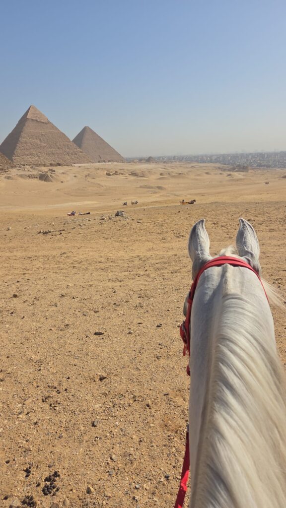 5-daagse Paardrijtocht Caïro – Bahariya – Zwarte & Witte Woestijn- Egypte