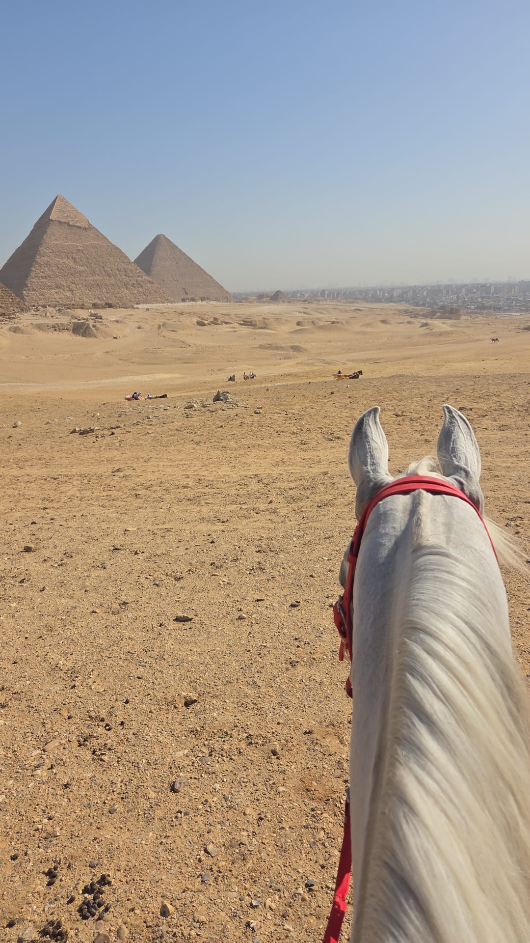 5-daagse Paardrijtocht Caïro – Bahariya – Zwarte & Witte Woestijn- Egypte - Afbeelding 2