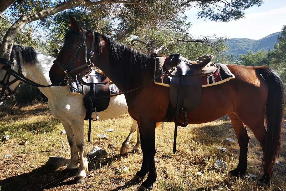 Buitenrit (evt. met overnachting op een ranch) Mallorca - Spanje - Afbeelding 6