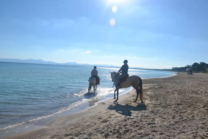 Buitenrit strand (evt. met overnachting op een ranch) Mallorca - Spanje - Afbeelding 1