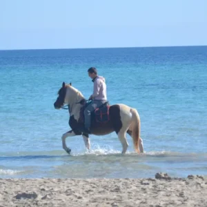 Buitenrit strand (evt. met overnachting op een ranch) Mallorca - Spanje - Afbeelding 3