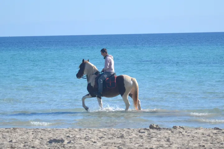 Buitenrit strand (evt. met overnachting op een ranch) Mallorca - Spanje