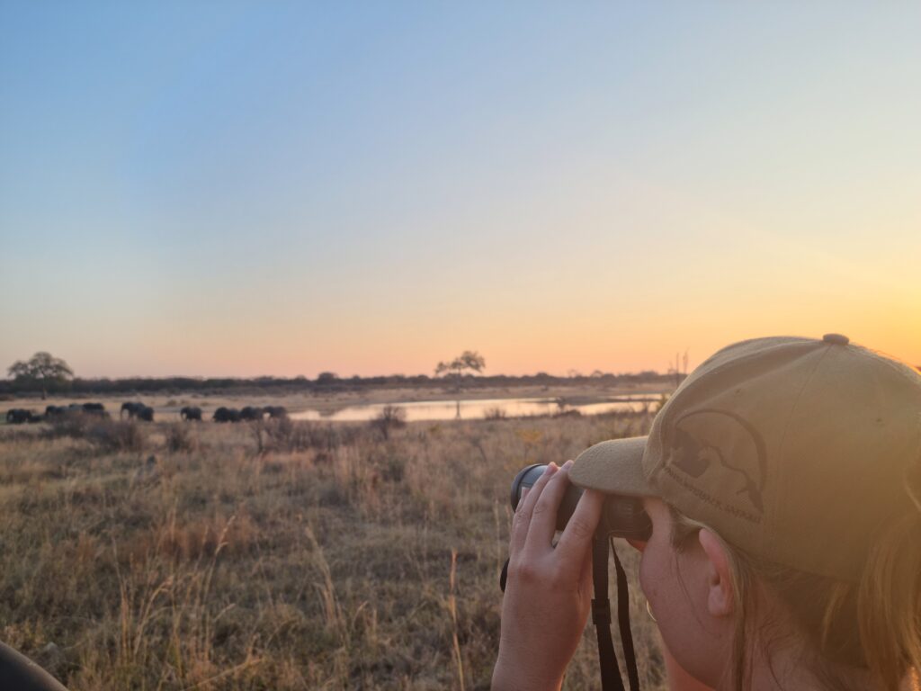 3-daagse Paardensafari Hwange - Zimbabwe