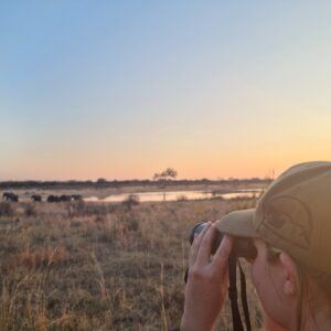 3-daagse Paardensafari Hwange - Zimbabwe - Afbeelding 7