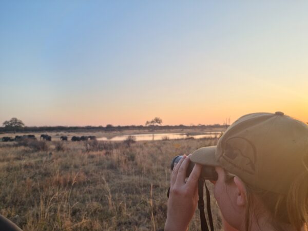 3-daagse Paardensafari Hwange - Zimbabwe