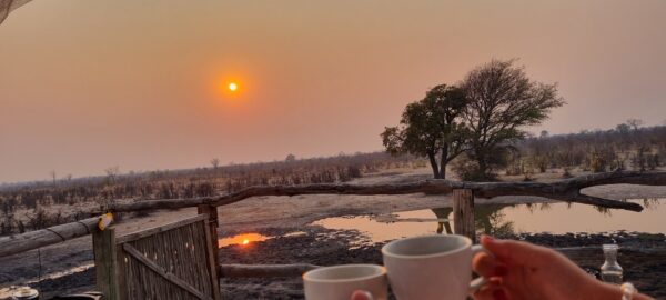 3-daagse Paardensafari Hwange - Zimbabwe