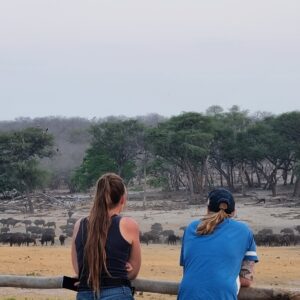 Vrijwilligersreis Hwange - Zimbabwe - Afbeelding 7