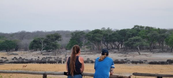 Vrijwilligersreis Hwange - Zimbabwe