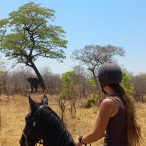 3-daagse Paardensafari Hwange - Zimbabwe - Afbeelding 1