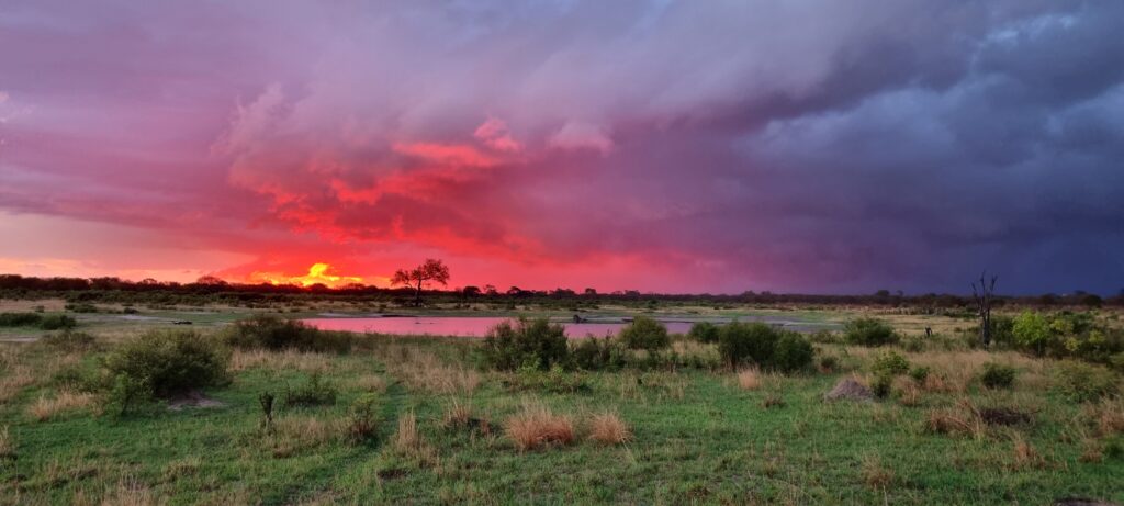 Vrijwilligersreis Hwange - Zimbabwe