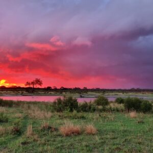 Vrijwilligersreis Hwange - Zimbabwe - Afbeelding 9
