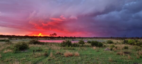 Vrijwilligersreis Hwange - Zimbabwe