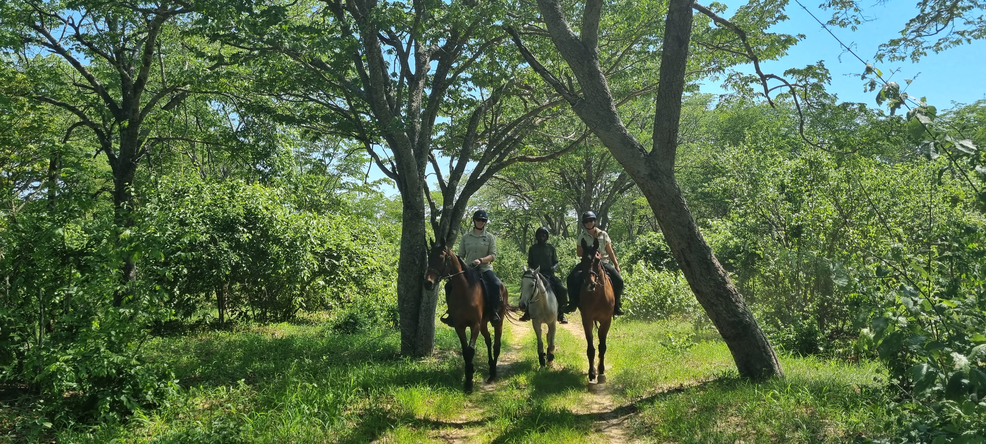 Vrijwilligersreis Hwange - Zimbabwe - Afbeelding 56