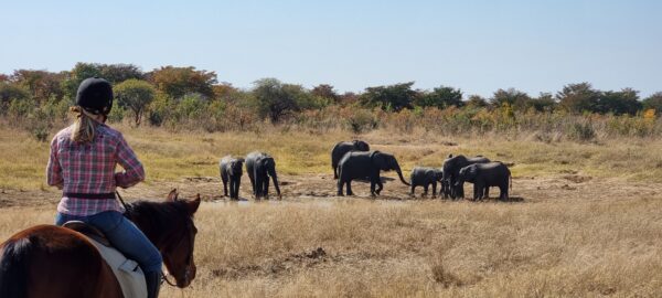Vrijwilligersreis Hwange - Zimbabwe