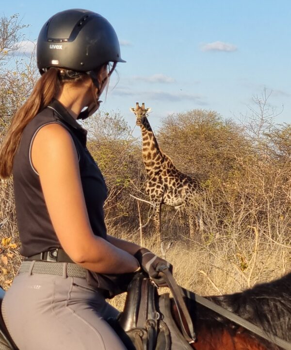 Vrijwilligersreis Hwange - Zimbabwe