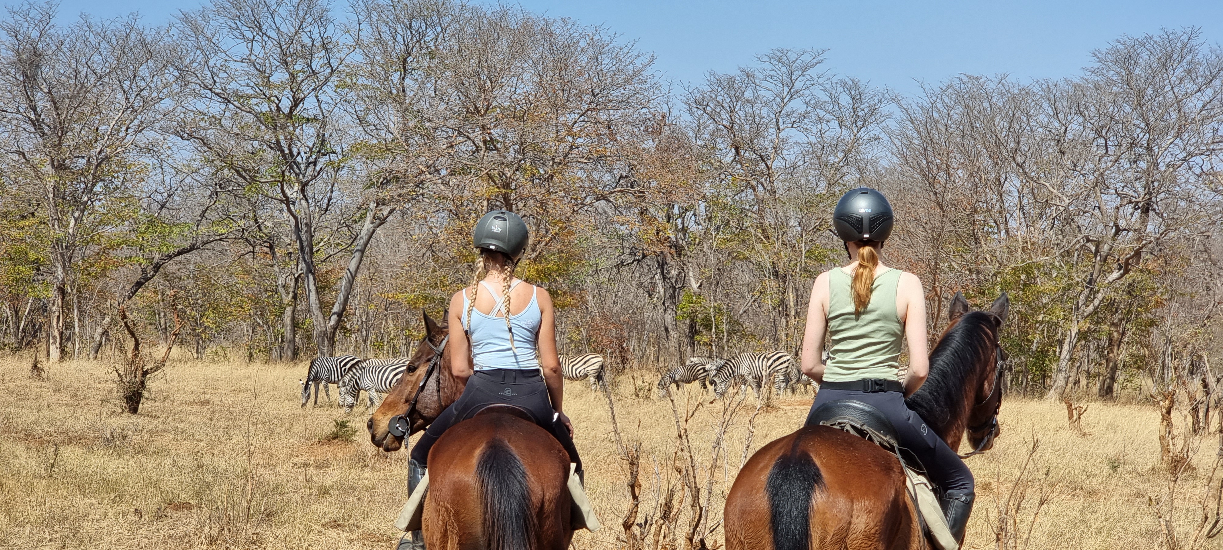 Vrijwilligersreis Hwange - Zimbabwe - Afbeelding 54