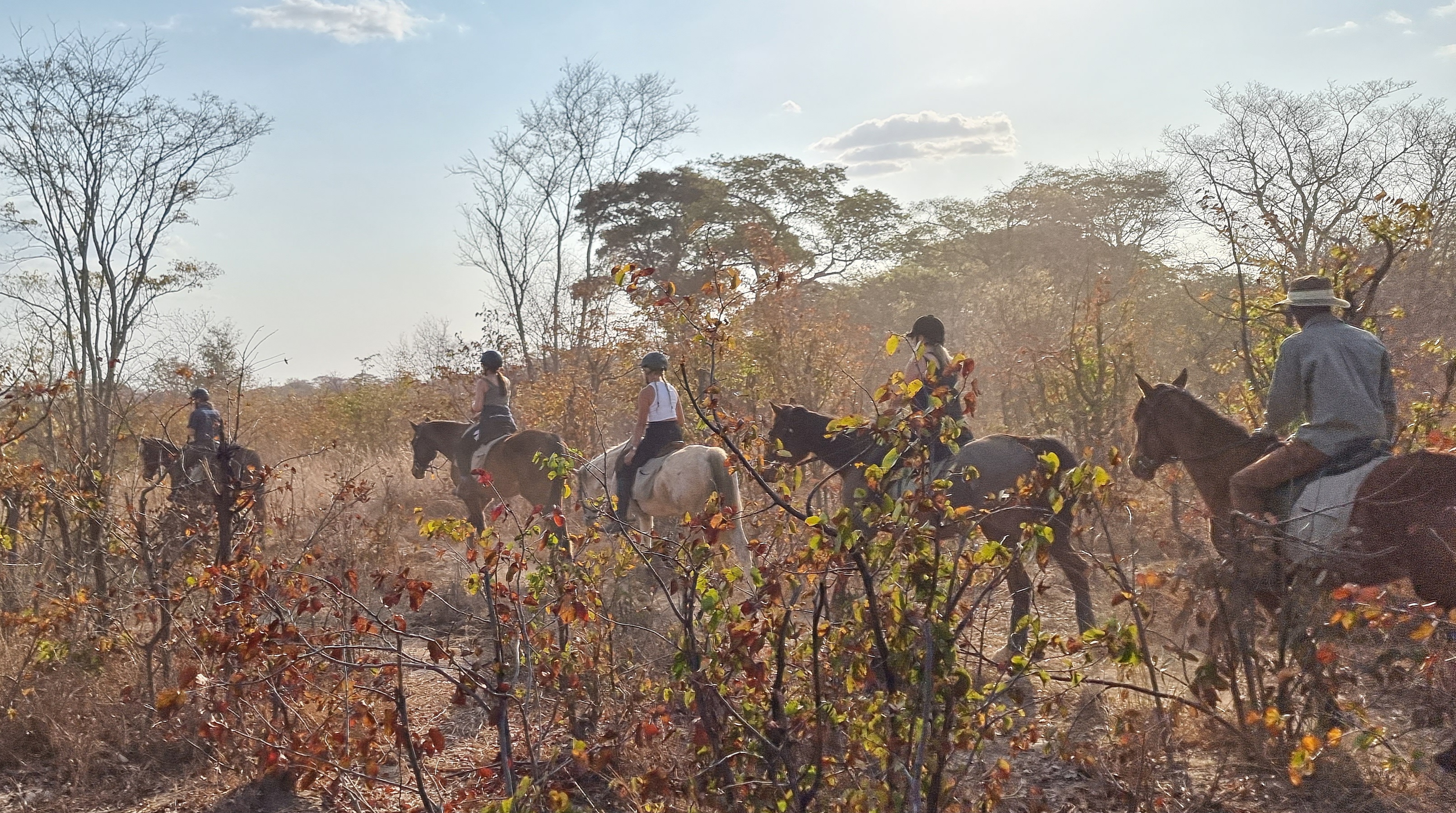 Vrijwilligersreis Hwange - Zimbabwe - Afbeelding 53