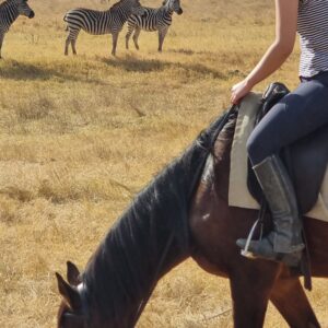 Vrijwilligersreis Hwange - Zimbabwe - Afbeelding 11