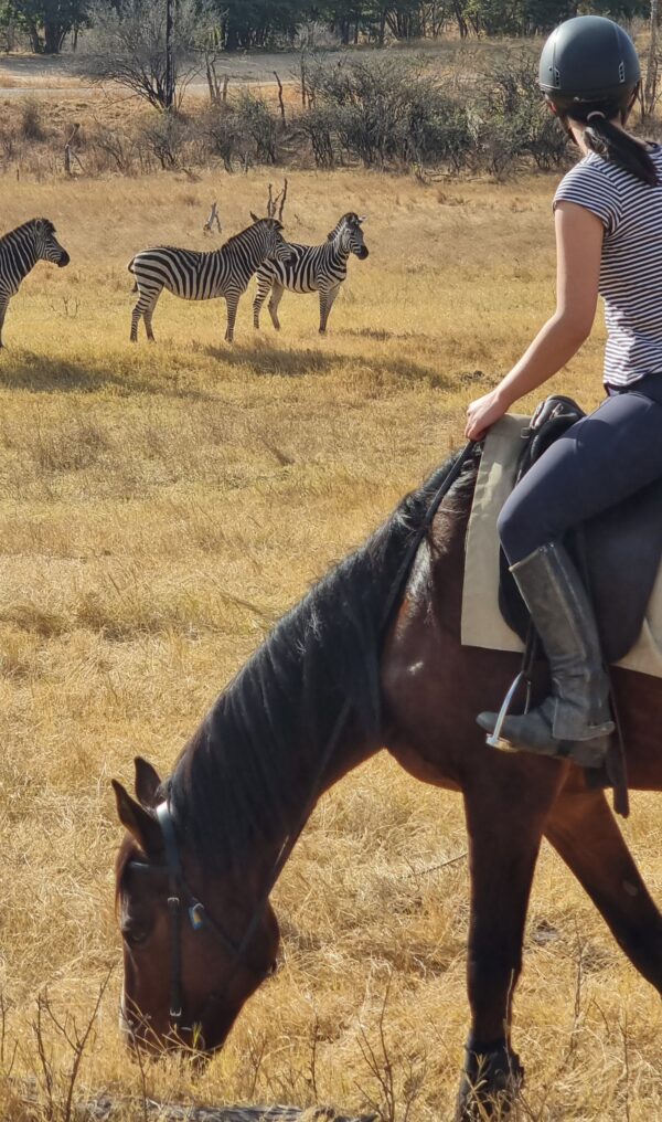 Vrijwilligersreis Hwange - Zimbabwe