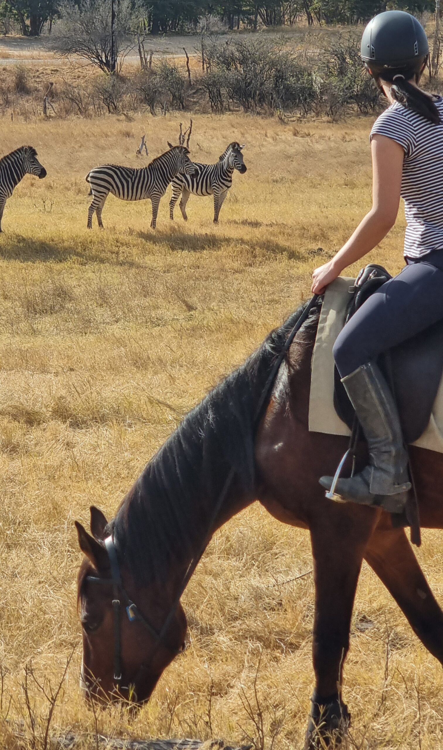 Vrijwilligersreis Hwange - Zimbabwe - Afbeelding 11