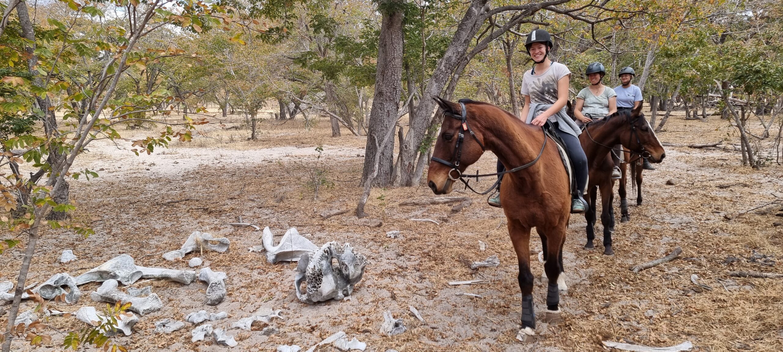 Vrijwilligersreis Hwange - Zimbabwe - Afbeelding 12