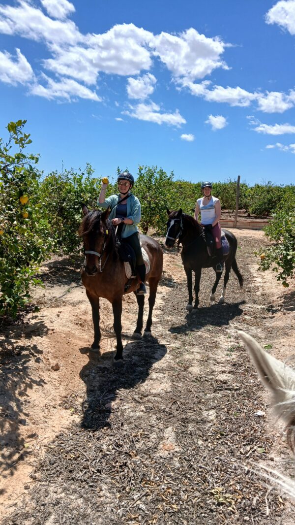 8-daagse Guardamar Trail: Ontdek de Vega Baja Valencia - Spanje