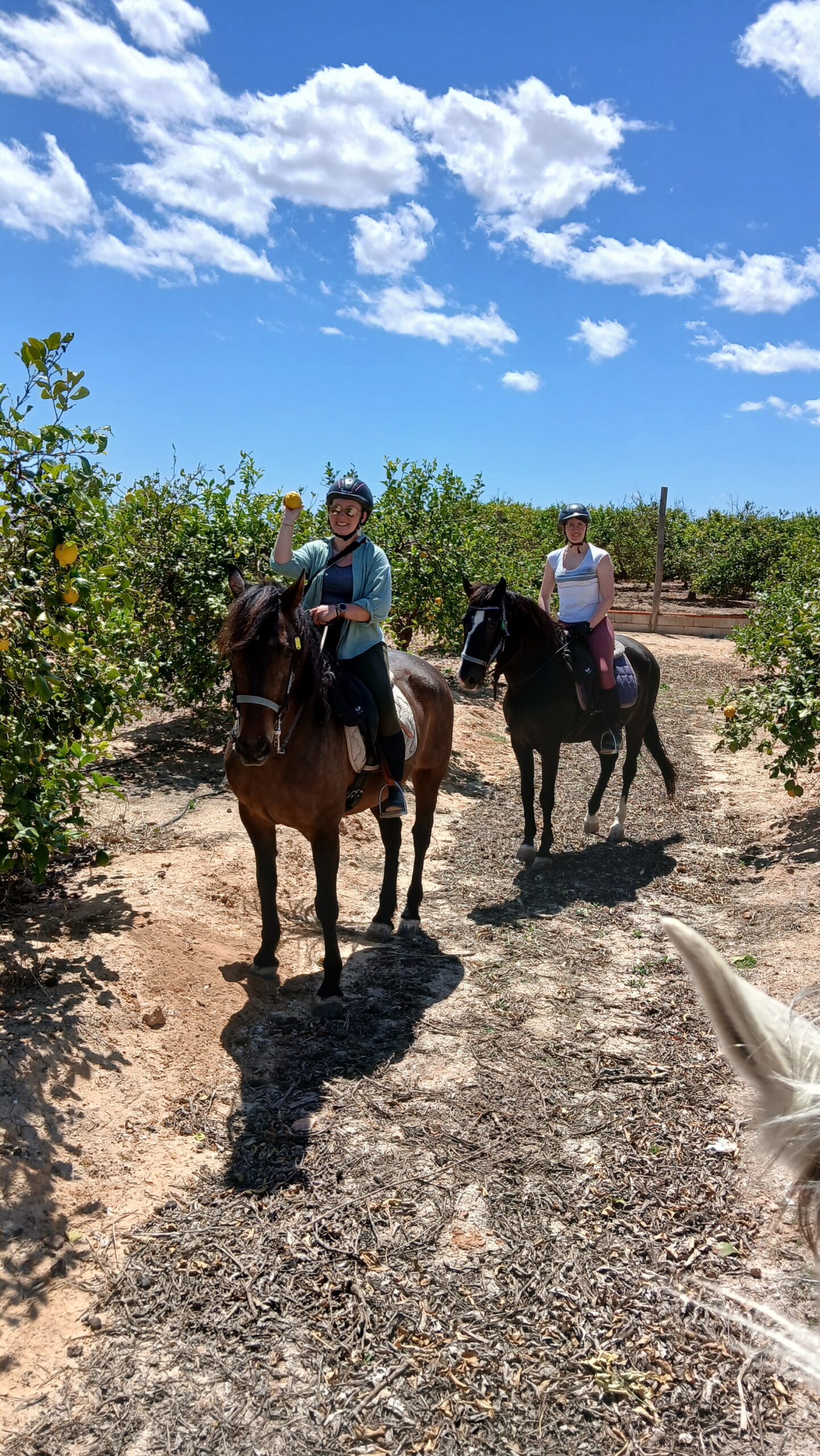 8-daagse Guardamar Trail: Ontdek de Vega Baja Valencia - Spanje - Afbeelding 12
