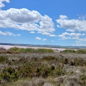 8-daagse paardrijvakantie: Lessen & Tochten Valencia - Spanje - Afbeelding 13