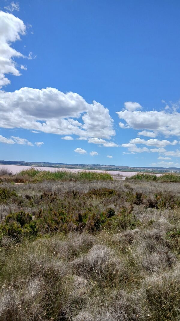 8-daagse paardrijvakantie: Lessen & Tochten Valencia - Spanje