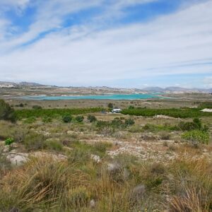 8-daagse paardrijvakantie: dagtochten natuurreservaat La Mata Valencia - Spanje - Afbeelding 12