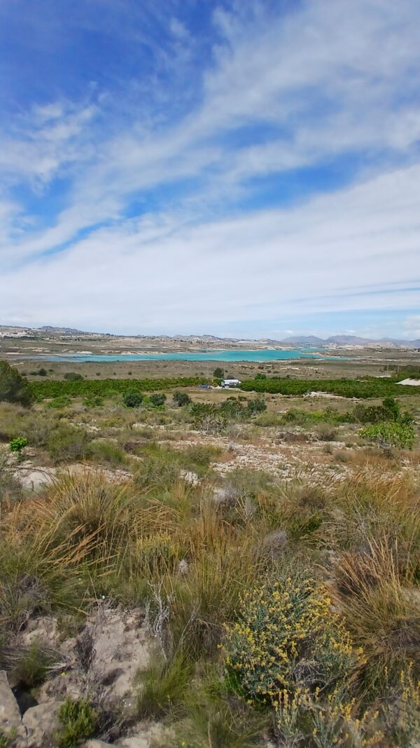 8-daagse paardrijvakantie: dagtochten natuurreservaat La Mata Valencia - Spanje